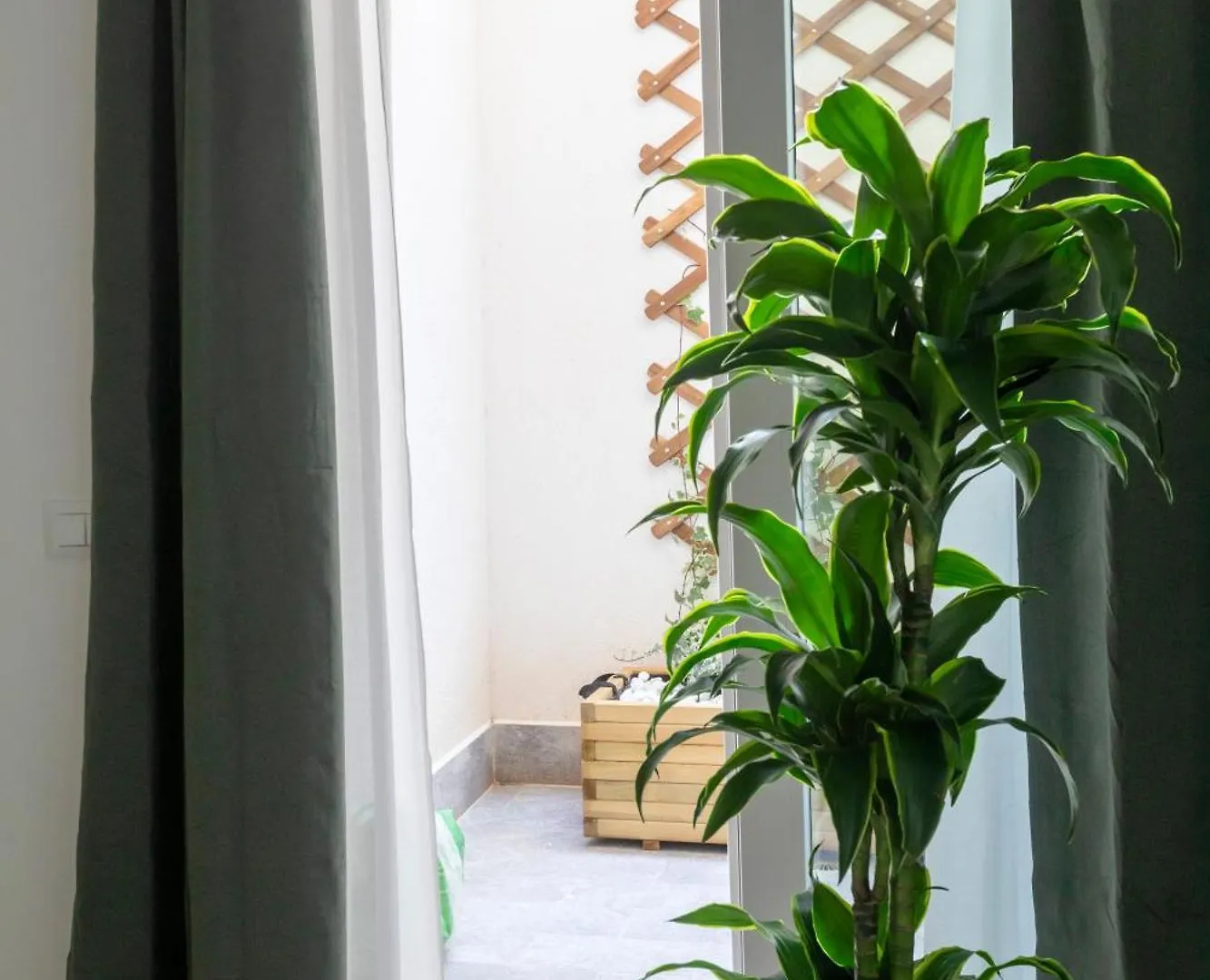 With Love, Apartment 4 Palermo